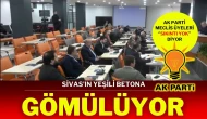 Sivas’ın Yeşili Betona Gömülüyor, AK Partili Meclis Üyeleri “Sıkıntı Yok” Diyor!