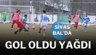 Sivas BAL’da Gol Oldu Yağdı