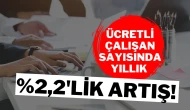 Ücretli Çalışan Sayısında Yıllık %2,2'lik Artış!