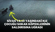 Sivas’ta 10 Yaşındaki Kız Çocuğu Sokak Köpeklerinin Saldırısına Uğradı