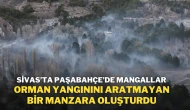 Sivas’ta Paşabahçe’de Mangallar, Orman Yangınını Aratmayan Bir Manzara Oluşturdu