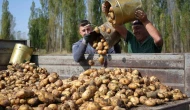 Tarımsal Girdi Fiyatları Tavan Yaptı! Yıllık Artış Yüzde 30’a Yaklaştı