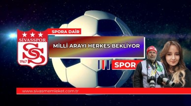 MİLLİ ARAYI HERKES BEKLİYOR