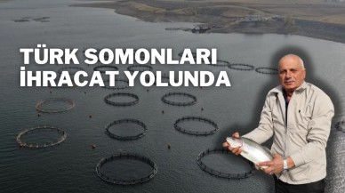 Türk Somonları İhracat Yolunda