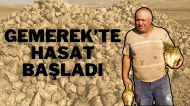 Gemerek’te Hasat Başladı