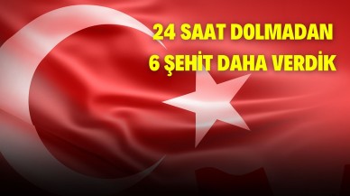 24 Saat Dolmadan 6 Şehit Daha Verdik