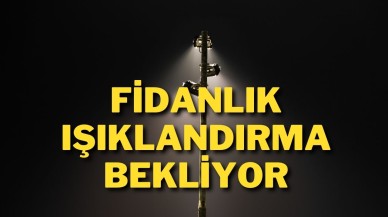 Fidanlık Işıklandırma Bekliyor