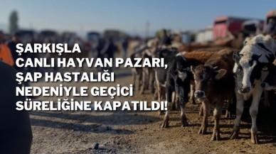 Şarkışla Canlı Hayvan Pazarı,  Şap Hastalığı Nedeniyle Geçici Süreliğine Kapatıldı!