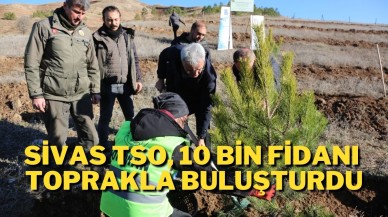 Sivas TSO,  10 Bin Fidanı Toprakla Buluşturdu