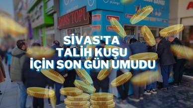 Sivas'ta Talih Kuşu İçin Son Gün Umudu