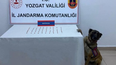 Jandarmanın Şüphelendiği Araçtan 61 Adet Hap Ele Geçirildi