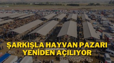 Şarkışla Hayvan Pazarı Yeniden Açılıyor