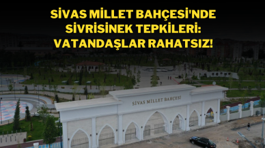 Sivas Millet Bahçesi'nde sivrisinek Tepkileri: Vatandaşlar Rahatsız!