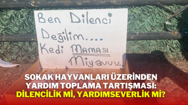 Sokak Hayvanları Üzerinden Yardım Toplama Tartışması: Dilencilik mi,  Yardımseverlik mi?