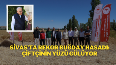 Sivas'ta Rekor Buğday Hasadı: Çiftçinin Yüzü Gülüyor