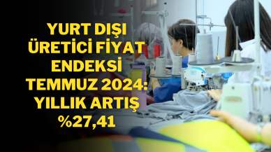 Yurt Dışı Üretici Fiyat Endeksi Temmuz 2024: Yıllık Artış %27, 41