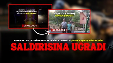 Memleket Gazetesi Uyardı,  Yetkililer Duymadı: Çocuk Başıboş Köpeklerin Saldırısına Uğradı