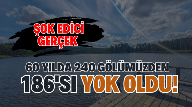 Şok Edici Gerçek: 60 Yılda 240 Gölümüzden 186'sı Yok Oldu!