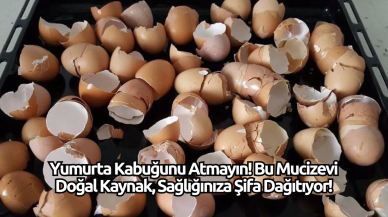 Yumurta Kabuğunu Atmayın! Bu Mucizevi Doğal Kaynak,  Sağlığınıza Şifa Dağıtıyor!