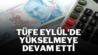 TÜFE Eylül'de Yükselmeye Devam Etti