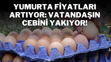 Yumurta Fiyatları Artıyor: Vatandaşın Cebini Yakıyor!