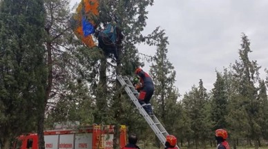 Paraşütçü Ağaçta Takıldı,  İtfaiye Ekipleri Kurtardı