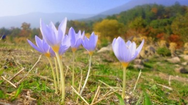 Cemre Nedir? Cemre Ne Zaman Düşecek?