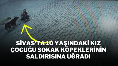 Sivas’ta 10 Yaşındaki Kız Çocuğu Sokak Köpeklerinin Saldırısına Uğradı