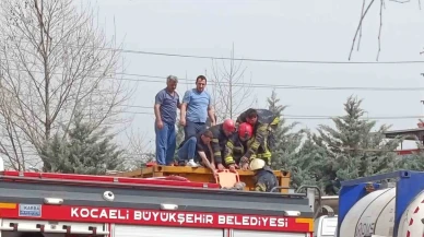 Tank Temizliği Felakete Dönüştü