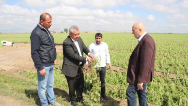 Karaman’da dolu ekili arazilere zarar verdi,  tarlalar kış mevsimi gibi beyaza büründü