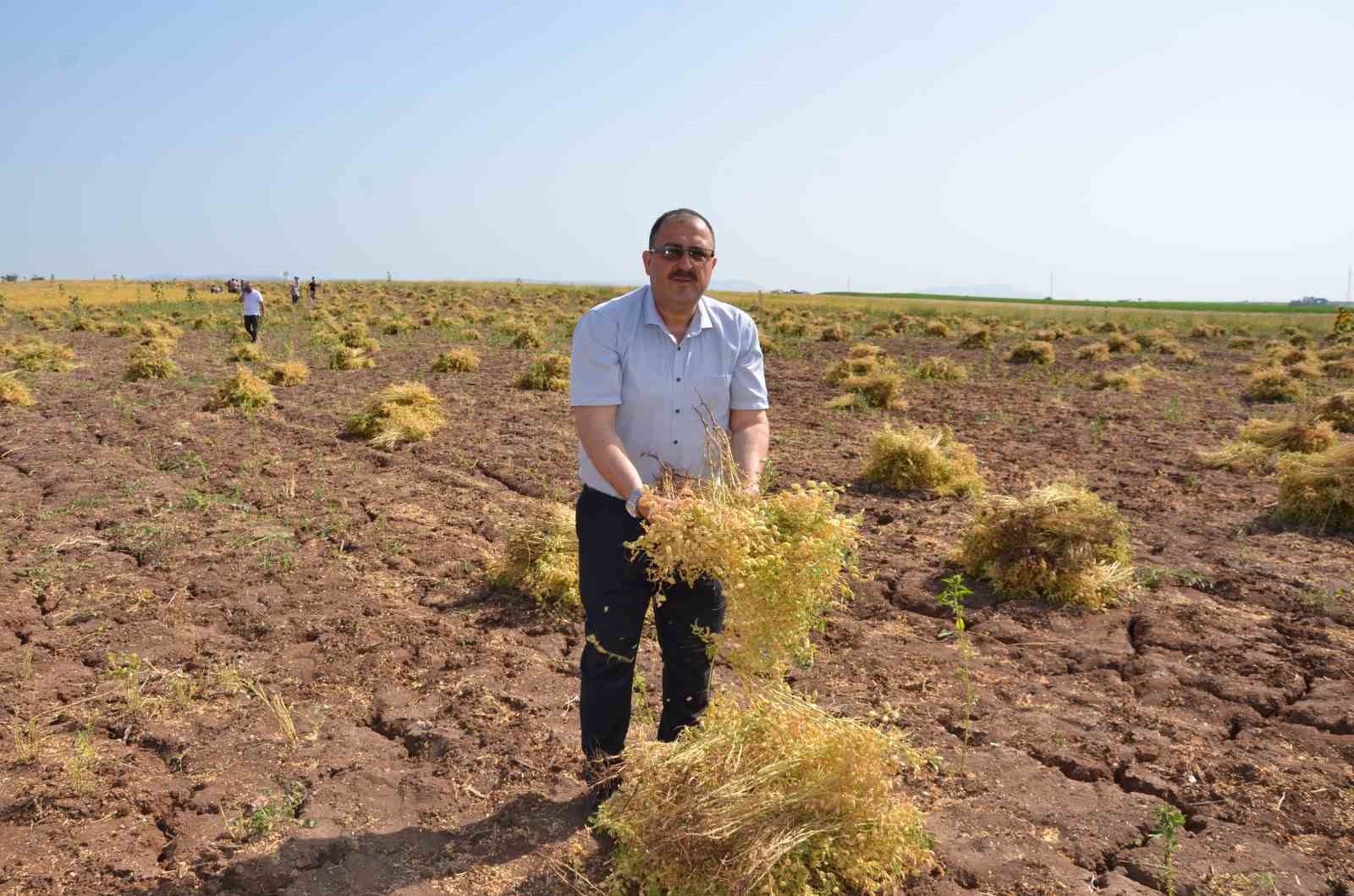 denizlide-bos-veya-nadasa-birakilan-araziler-uretime-kazandirilacak