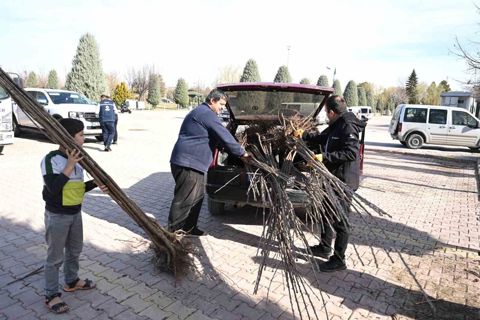 konya-buyuksehir-tarimsal-kalkinma-icin-bu-sezon-72-bin-meyve-fidani-dagitiyor