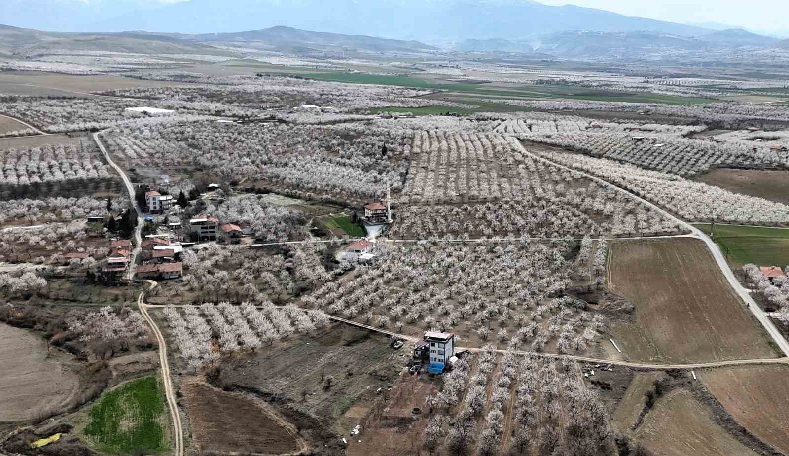 malatya-beyaz-gelinligini-giydi